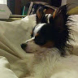 Meet your Posher, Elise